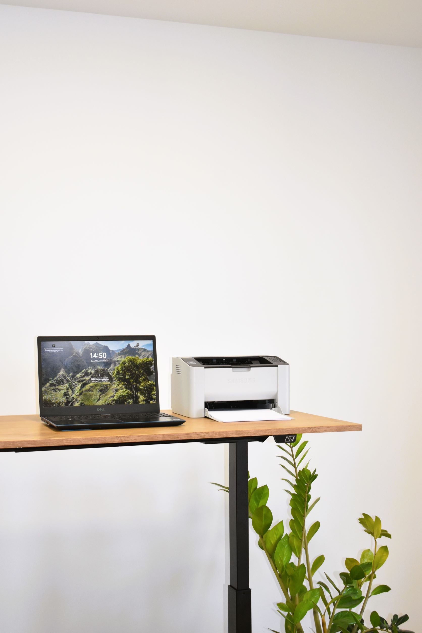 Bureau jarvis deals adjustable standing desk